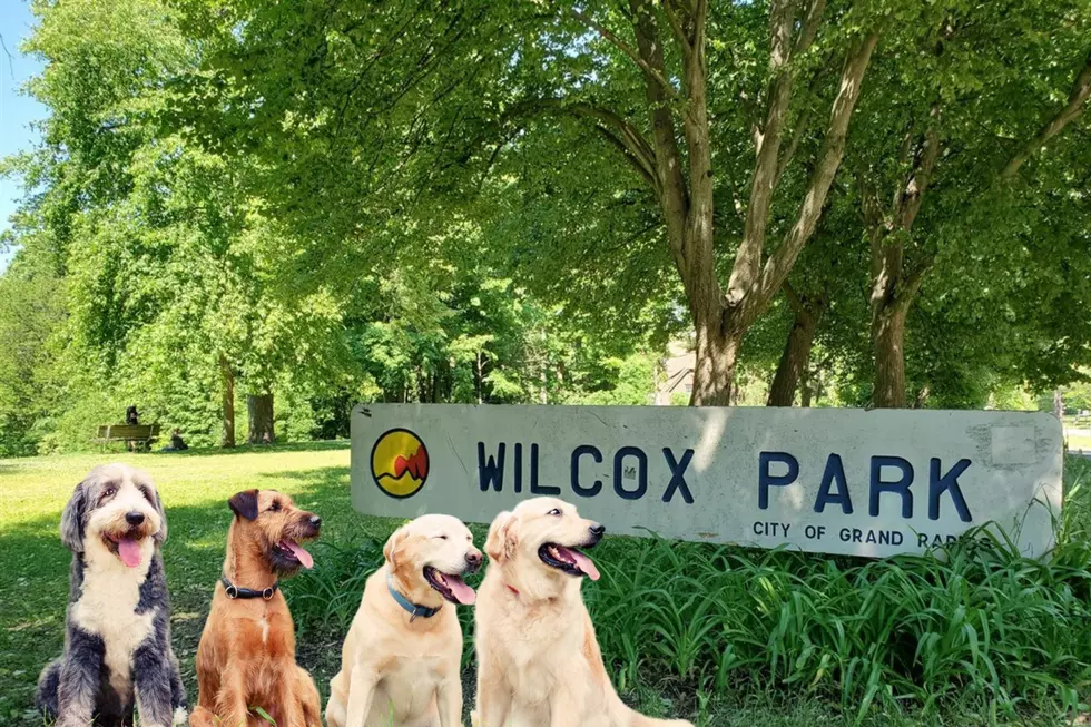 Free Dog Training at Grand Rapids City Parks This Summer