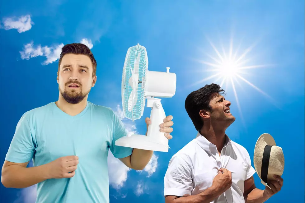 Michigan Heat Wave: How To Save Energy, Money, And Your Sanity