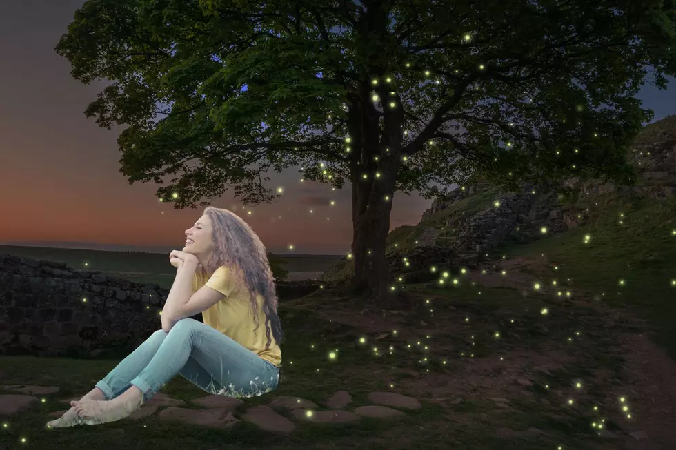 Seeing More Fireflies Than Usual? There&#8217;s A Reason For That