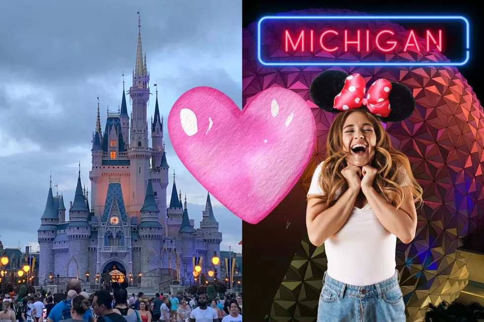 Michigan Is One Of The Most Disney Obsessed States, New Study Finds