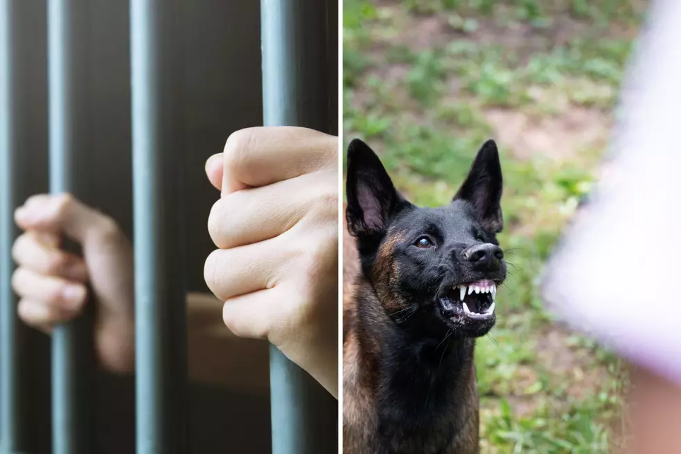 Woman From Hudsonville Gets Jail Time for Sicking Dog on Man