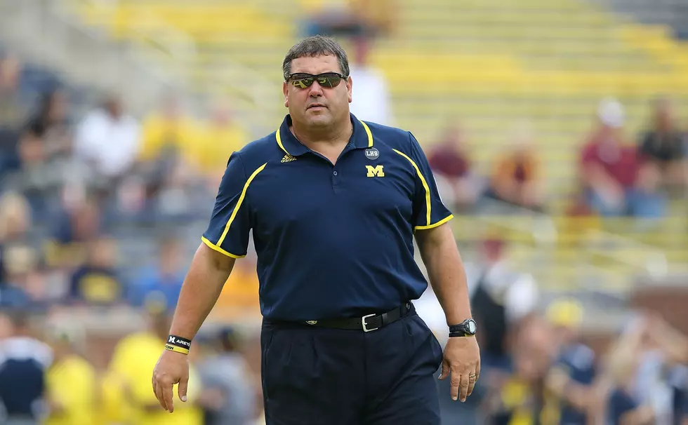 Minnesota v Michigan