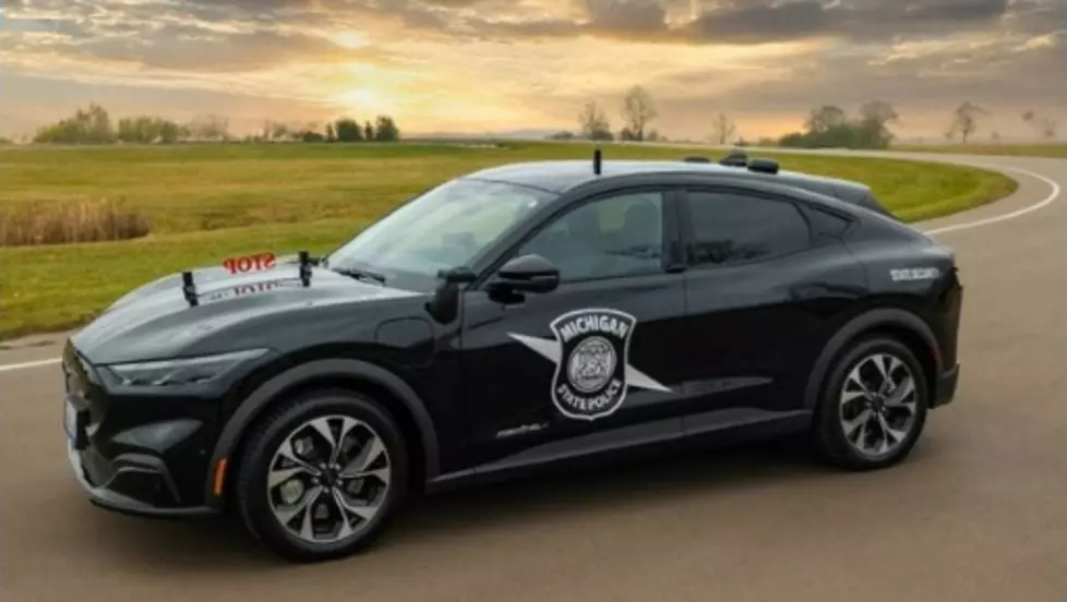 Courtesy of Michigan State Police
