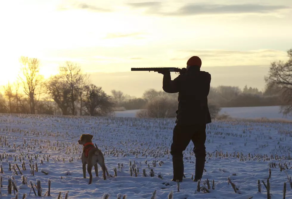 Young hunter with dog at sunset