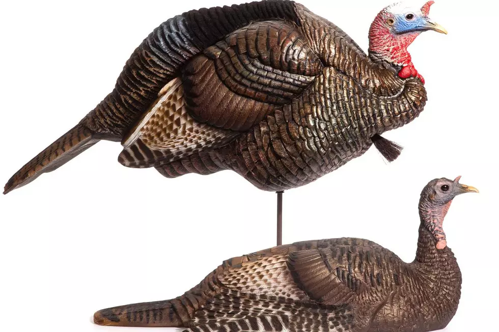 davesmithdecoys.com