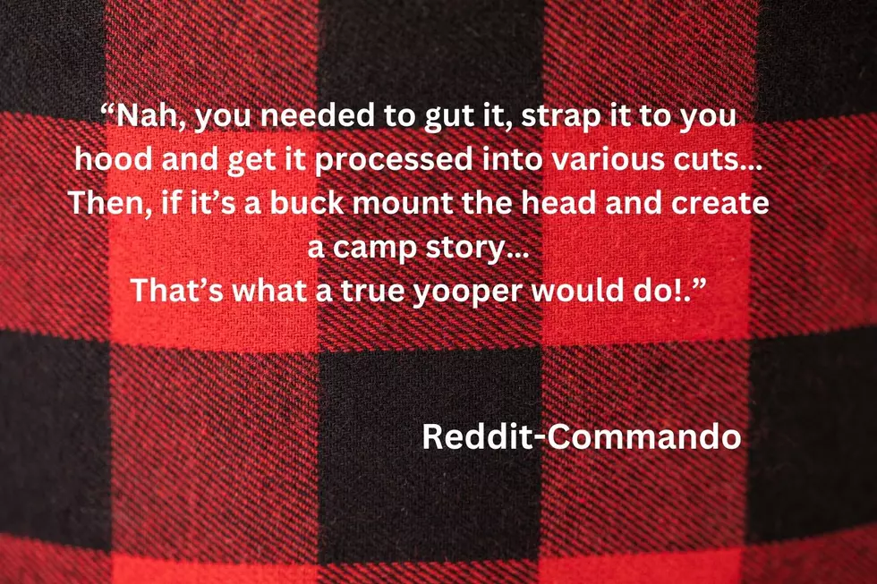 Yooper Reddit Page/canva.com