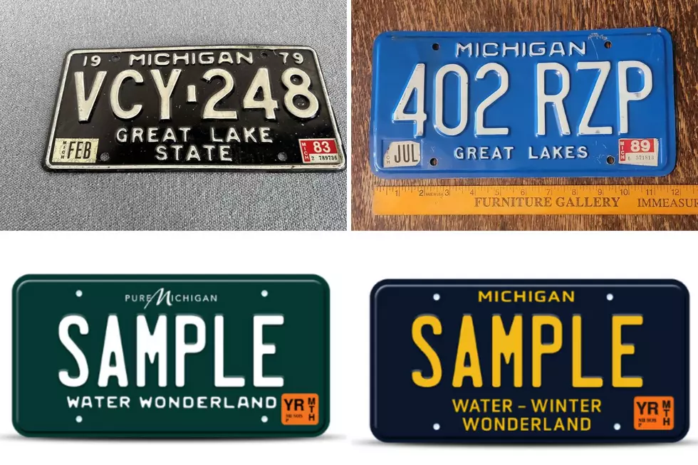 State of Michigan / Bell's Treasures via eBay / Mikittenmom via eBay