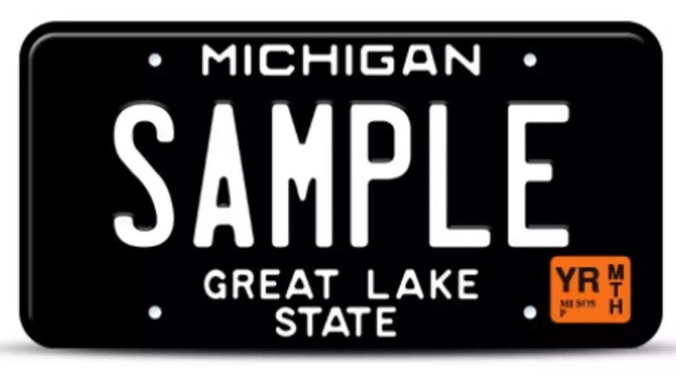 michigan.gov