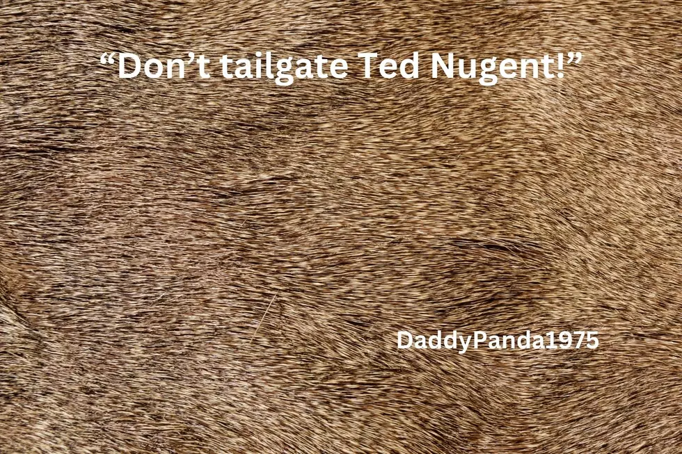 Michigan Reddit Page/canva.com