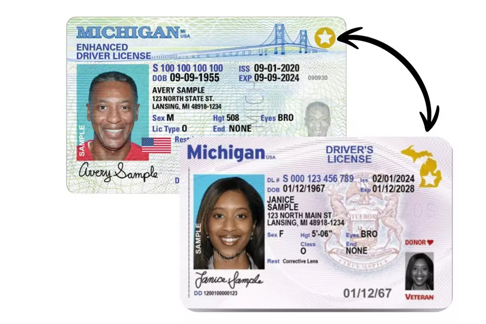 State of Michigan / Canva