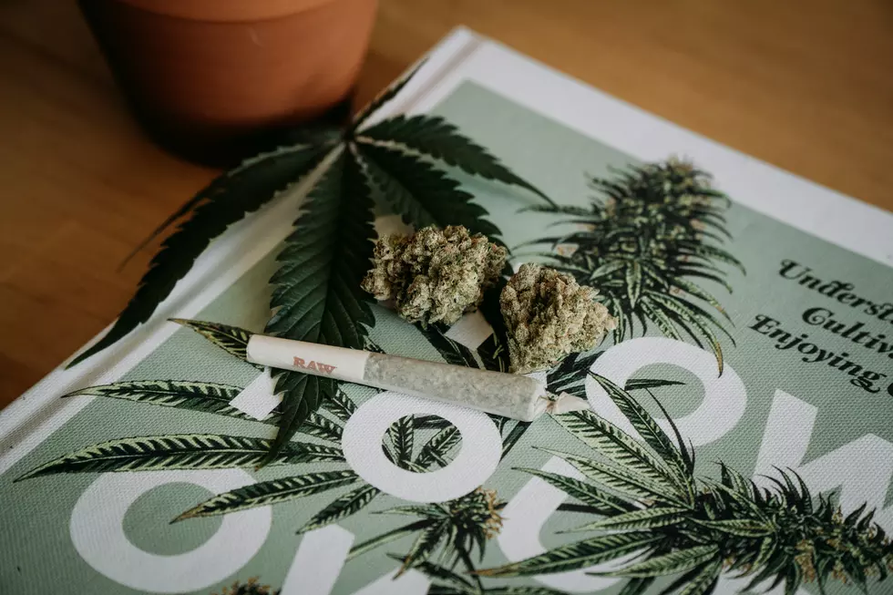 Photo by Shelby Ireland on Unsplash