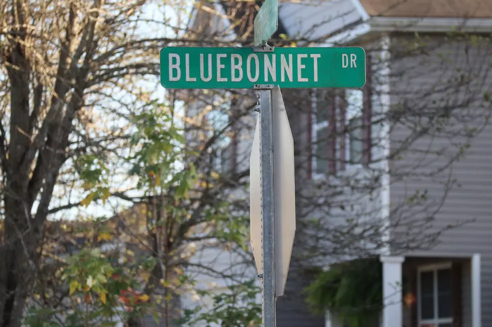 Not in Grand Rapids. Street name used for representation. / Photo by Jessie Nelson on Unsplash