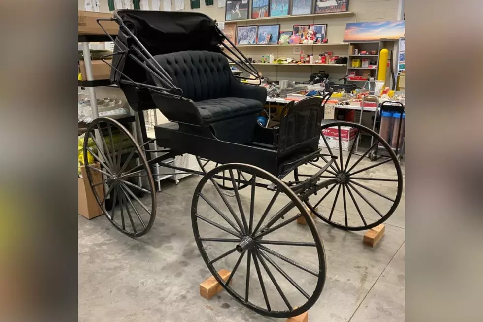 MSU Surplus Store Has A Rare 1900 Horse-Drawn Carriage For Sale