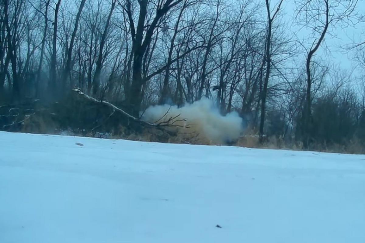 Michigan Is At Risk Of ‘Exploding Trees’ As Temperatures Plummet