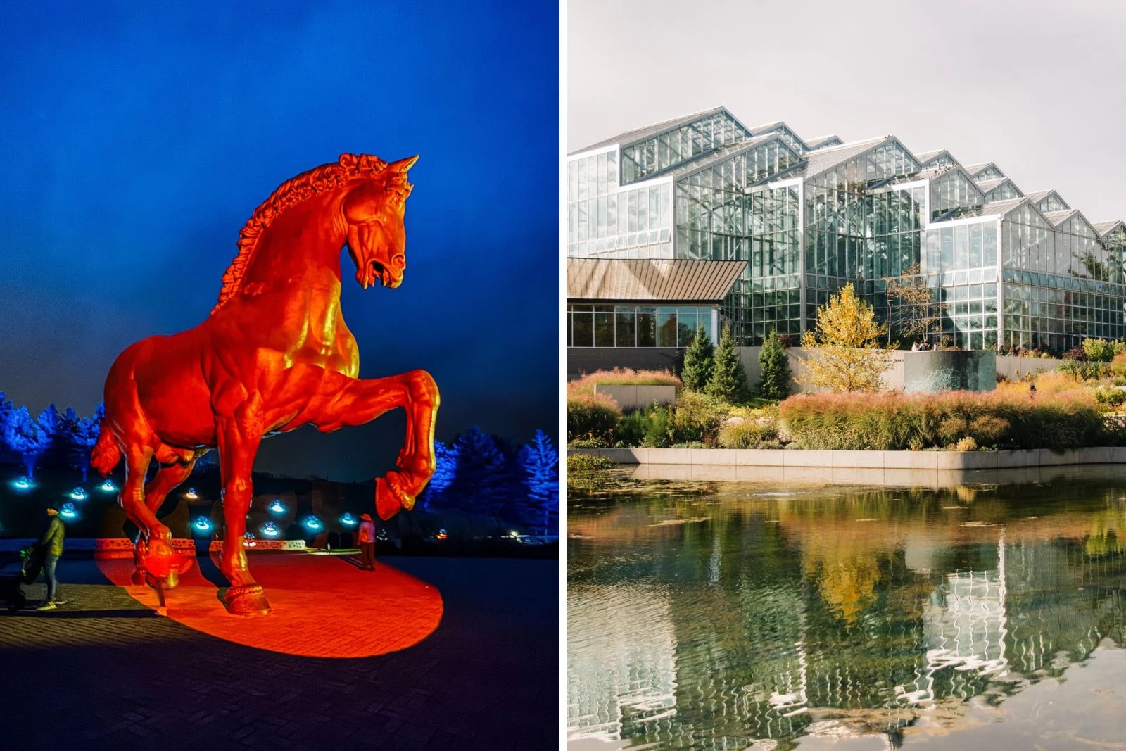 ジュンギュ ラキドロ ナイトガーデン 本国 Autumn Nights with Glow Garden at Frederik Meijer Gardens