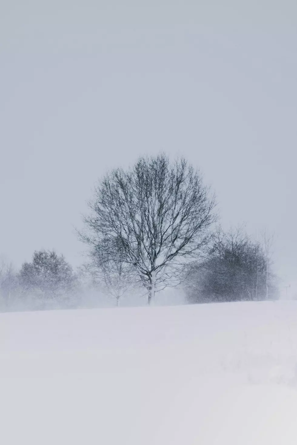 Photo by <a href=