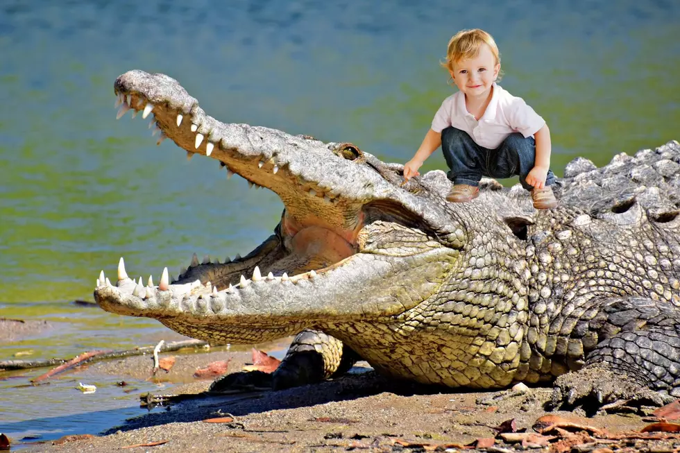 3-Year-Old Injured After Being Put in Crocodile Pen