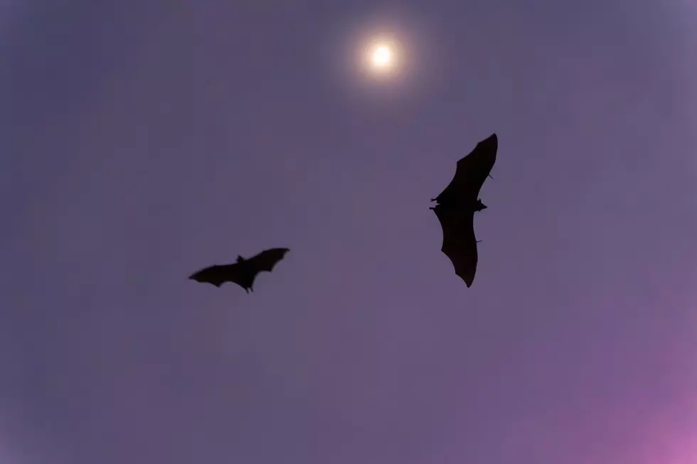 Photo by Jakub Klucký on Unsplash