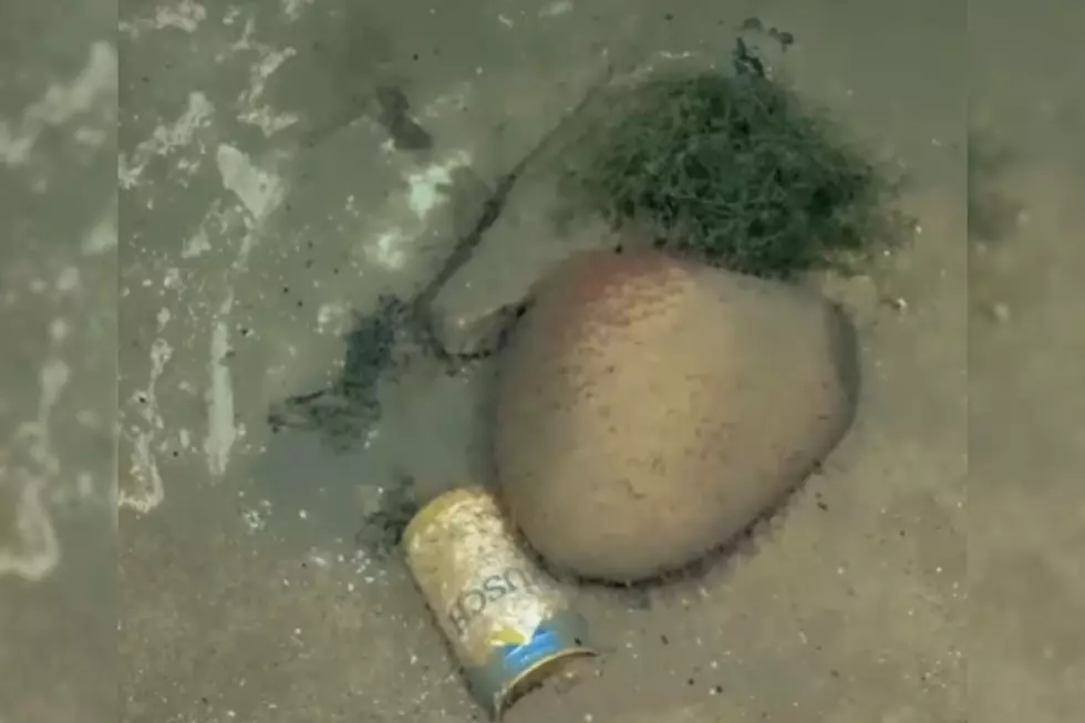 What Did Researchers Discover At The Bottom Of Lake Superior?