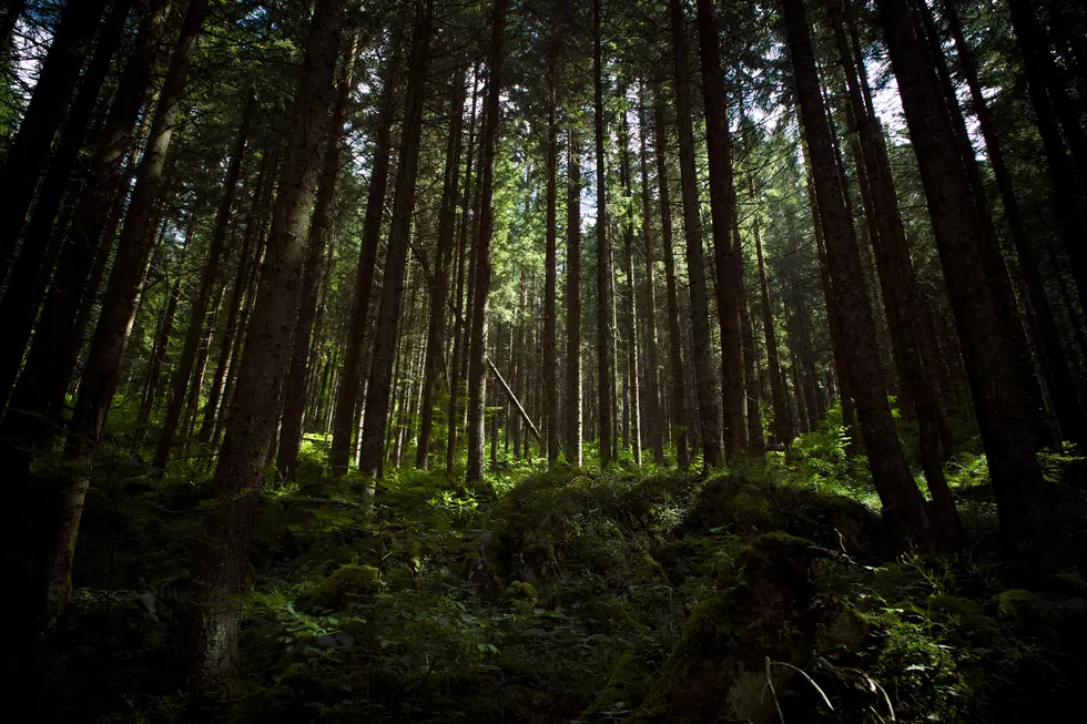 Photo by Adam Hornyak on Unsplash
