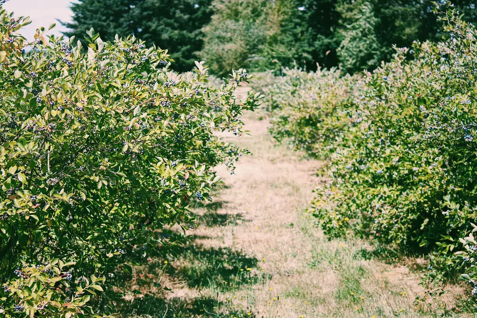 Photo by Ava Tyler on Unsplash