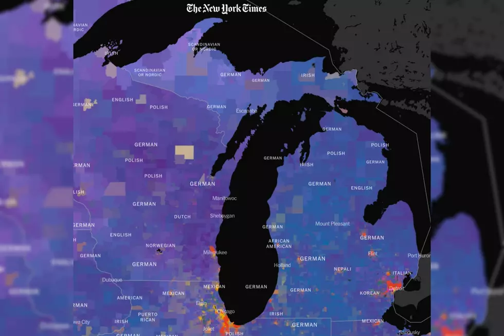 The State of Michigan, viewed based on ancestry. / The New York Times