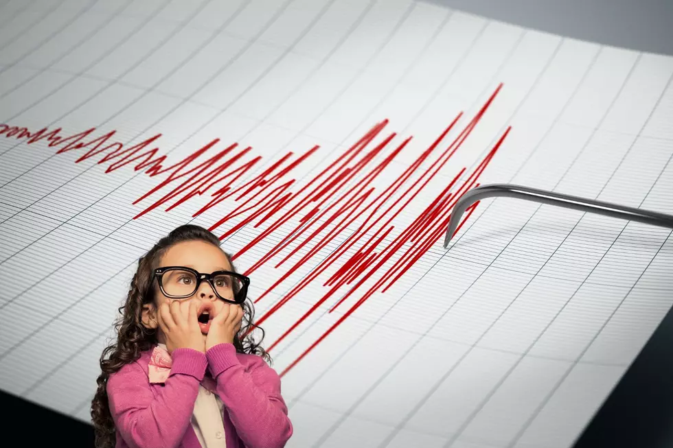 Did You Feel the 2.9 Magnitude Lake Michigan Earthquake?
