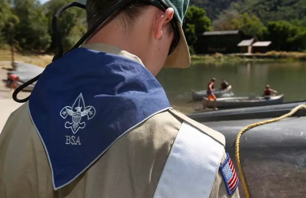 11-Year-Old Scout Loses Life While at Camp When Tree Falls