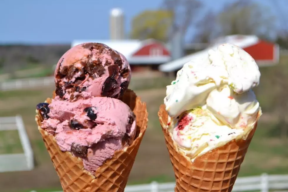 Michigan’s Award-Winning Ice Cream Shop Competing in Big National Contest