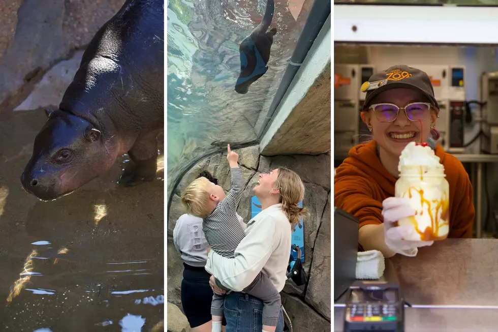 Beat the Heat and Save Big at John Ball Zoo with Their New Summer Discount