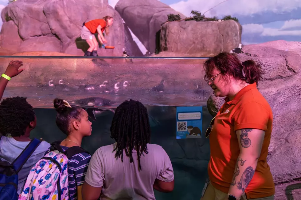 John Ball Zoo