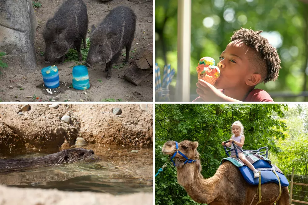John Ball Zoo