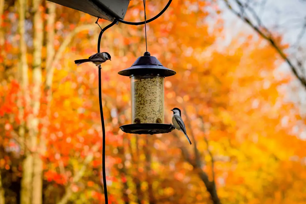 Photo by Bonnie Kittle on Unsplash