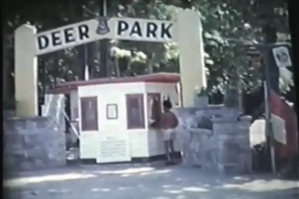 Michigan’s Forgotten Amusement and Theme Parks