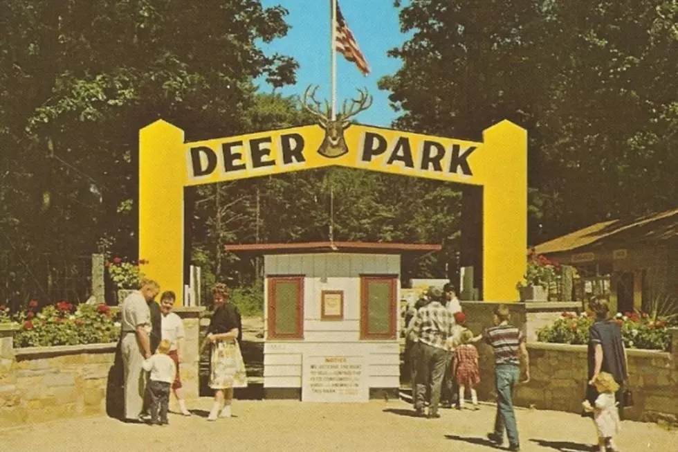 Michigan’s Forgotten Amusement and Theme Parks