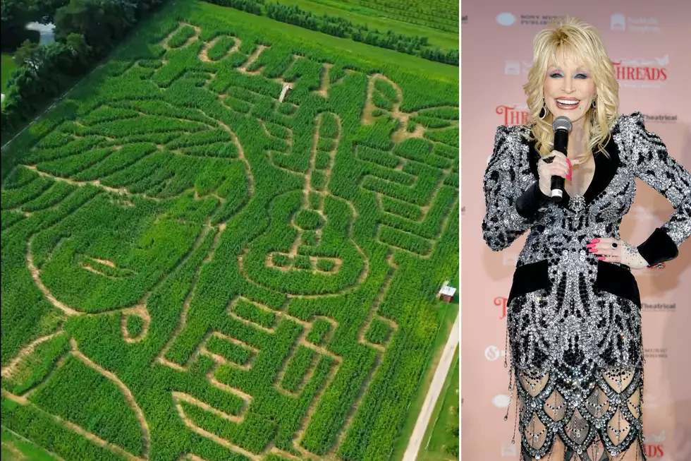 Massive Dolly Parton Corn Maze Coming To West Michigan Fall 2026