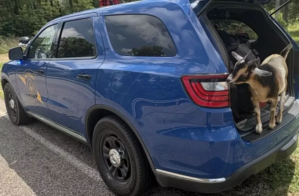 When Getting in a Police Car Becomes a G.O.A.T. Skill