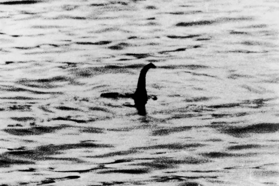 Have You Heard Of Bessie, The Great Lakes Loch Ness Monster?