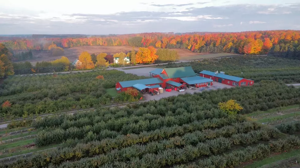 One Michigan Apple Orchard Competing to Be the Best in America