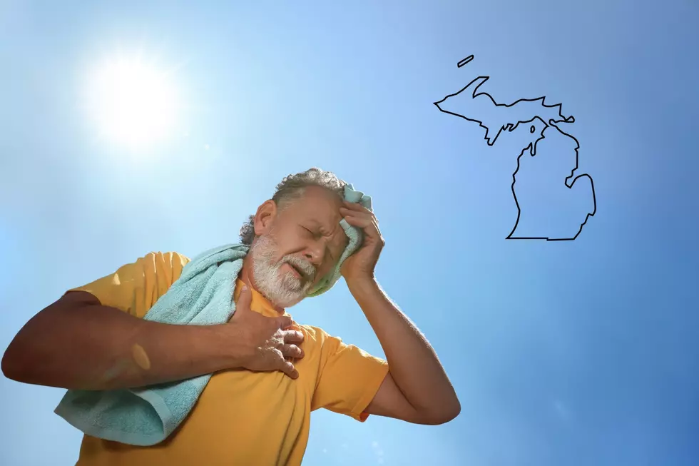 When Was Michigan’s Hottest July On Record?