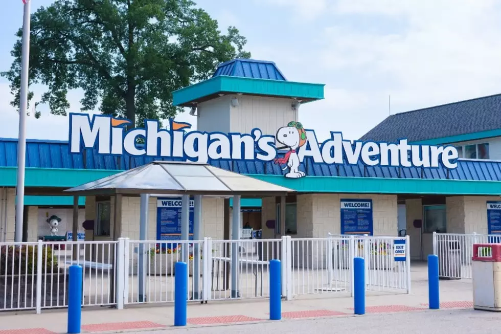 Michigan’s Forgotten Amusement and Theme Parks