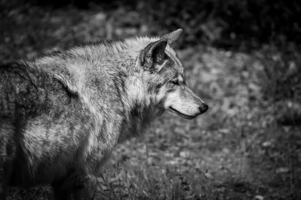 Photo by Sam on Unsplash