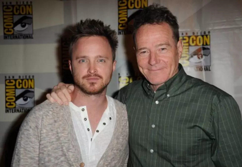 Bryan Cranston to Make a Big Splash at ArtPrize
