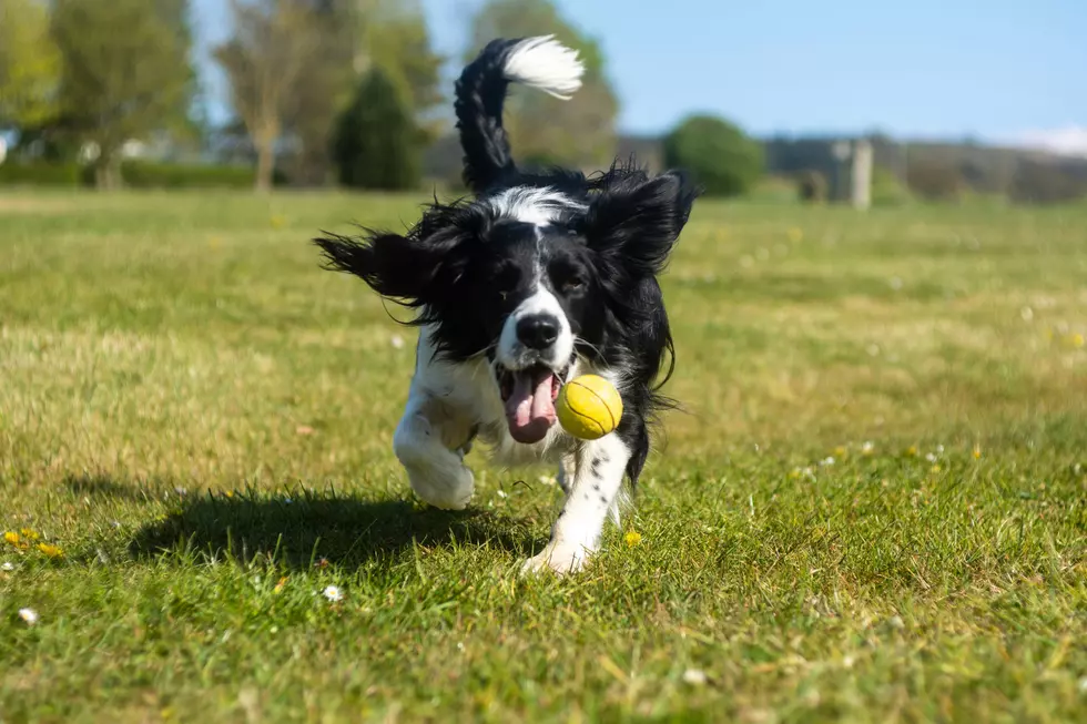 Photo by Andy Powell on Unsplash