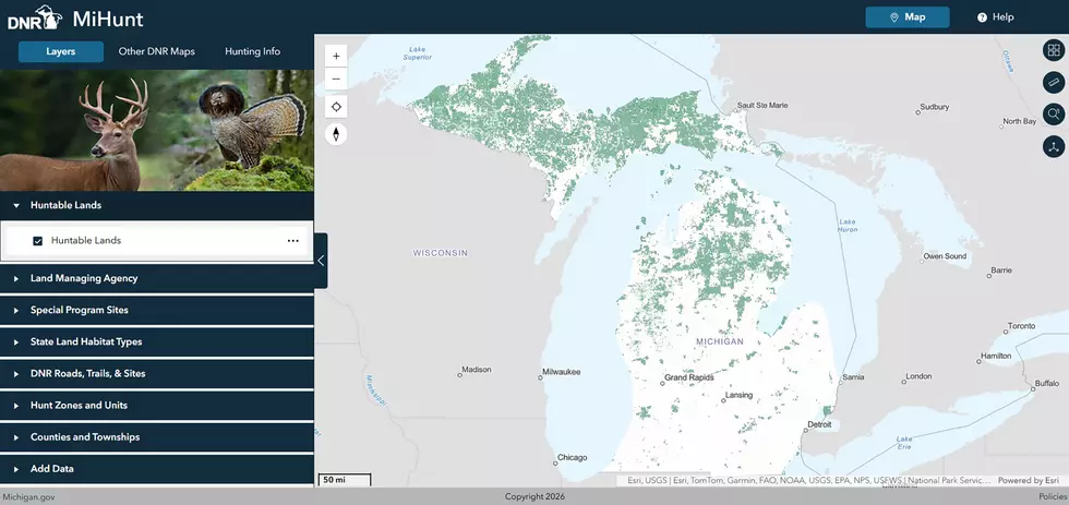 Michigan Department of Natural Resources