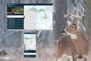 New Michigan Deer Hunting Map Ready For This Fall