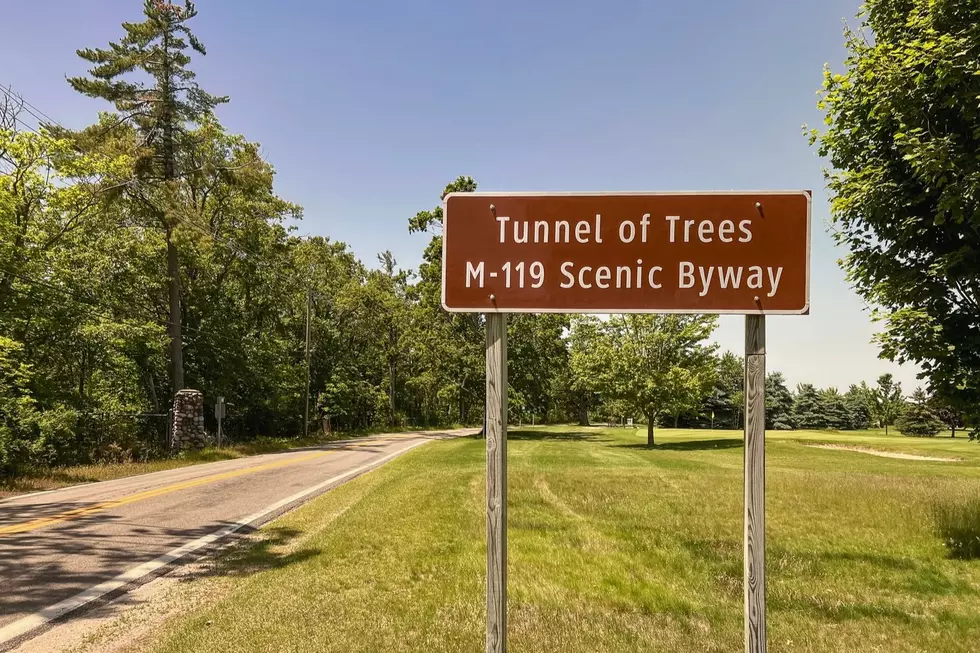 Michigan’s Destroyed ‘Tunnel of Trees’ Gets Update