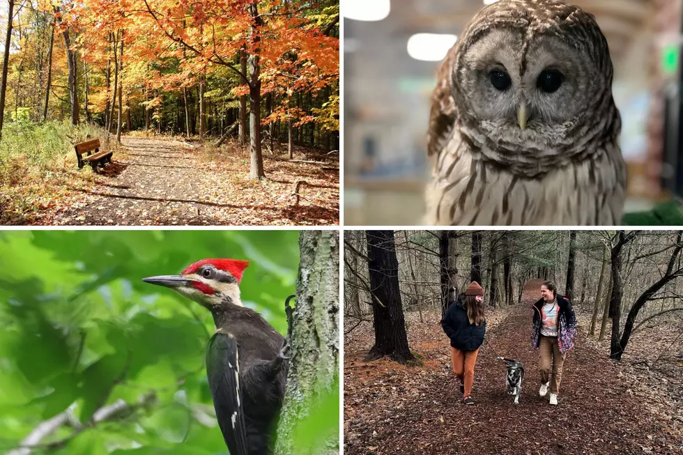 Step Into Fall in Grand Rapids with Free Admission to Blandford Nature Center This September