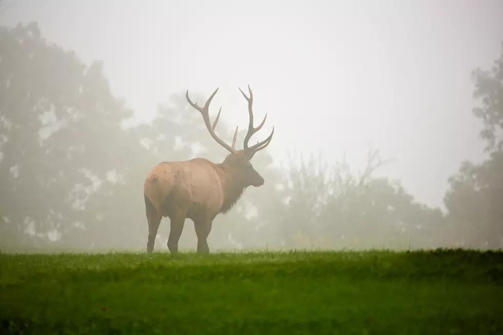 Photo by Mathew Schwartz on Unsplash
