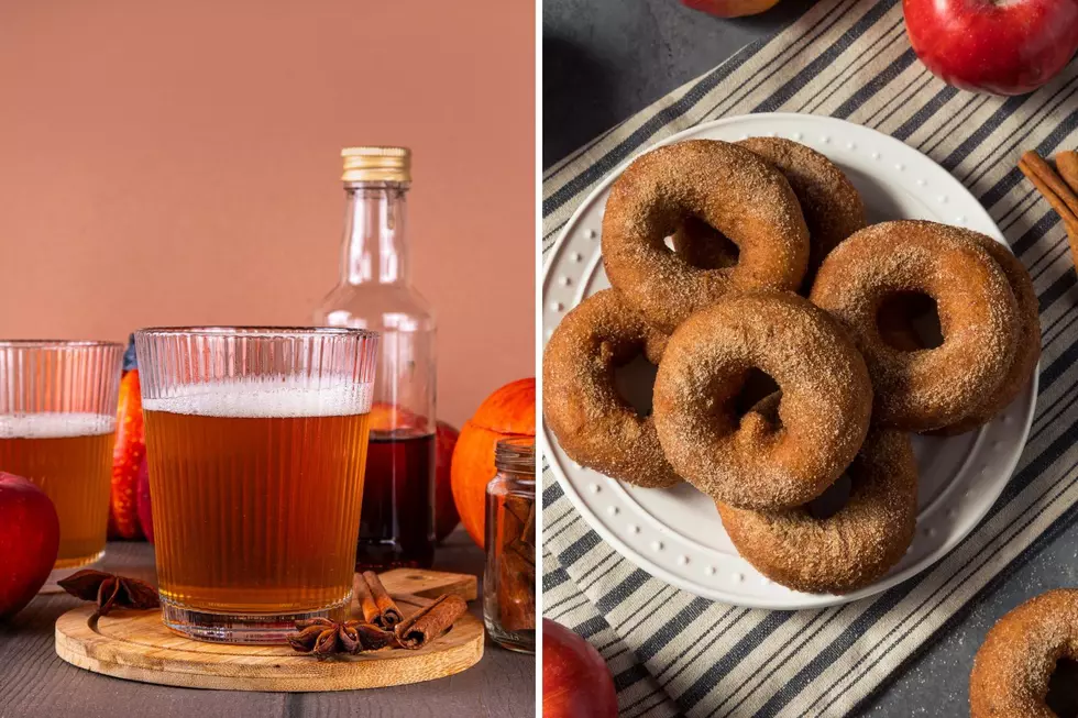 Fall Favorites: The Best Cider and Donuts in West Michigan